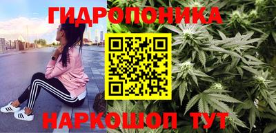 прущие крисы Новозыбков