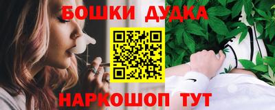 шишки Новокубанск