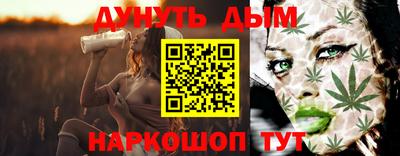 шишки Новокубанск